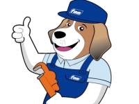 Service a Domicilio