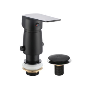 Bidet con transferencia Vernazza